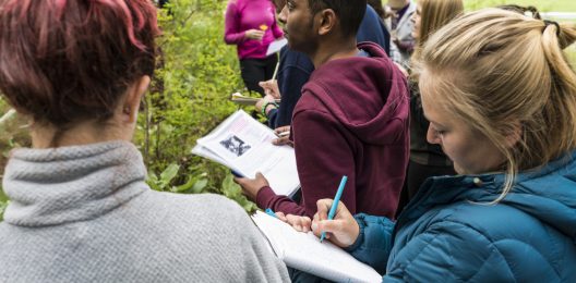 Students studying a tree