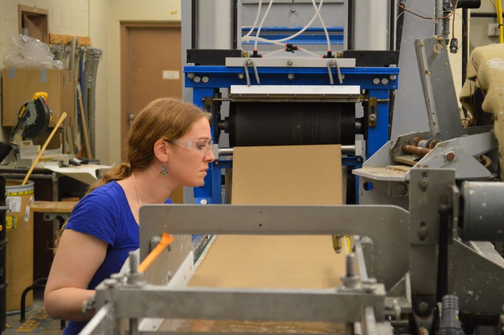 BSE Major Requirements | School of Environmental and Forest Sciences