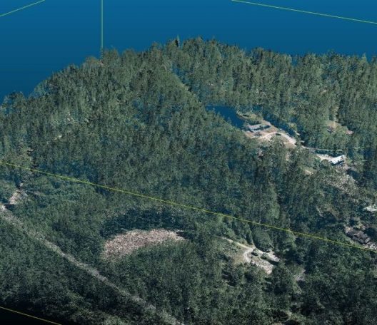 This image is made from LIDAR, or Light Detection and Ranging, which is a remote sensing method that is used to measure distances.