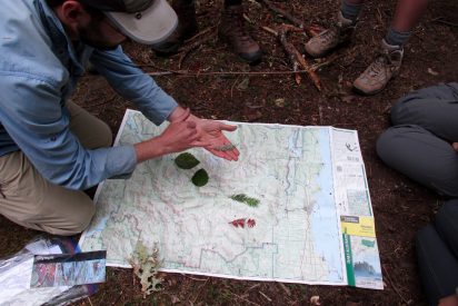 Studying a map