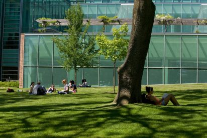 Students sitting under trees on campus
