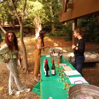 SEFS End of Year bar in courtyard