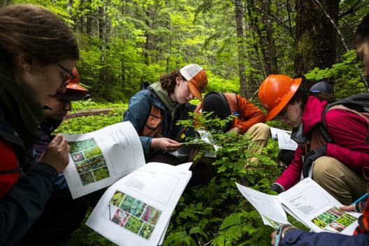 students wearing hard hats read while standing in the forest