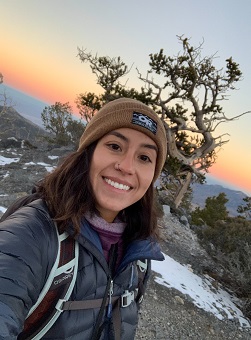 a woman in front of a tree at sunset