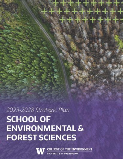 sefs strategic plan cover 