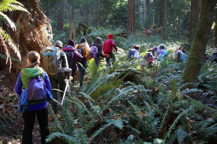 Students in the forest at Mount Rainier Institute