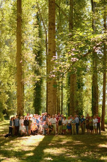 A large group of students stand in a large Poplar tree research plot.