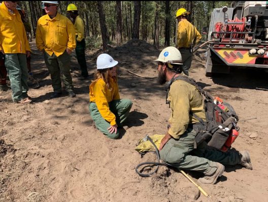 A group of people in a forest with hardhats and safety gear on. 