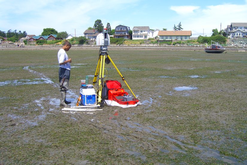 Person stands in sea grass in Padilla Bay
