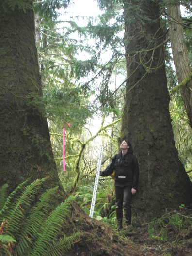 Dr. Heida Diefenderfer in Sitka spruce forested wetlands of the Pacific Northwest with a tool in hand. 