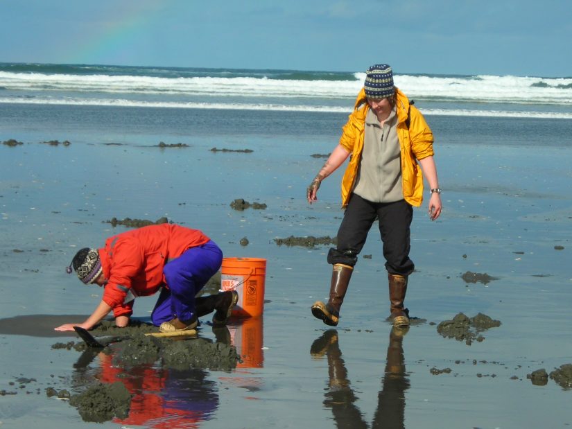 People clamming on the coast of Washington State.