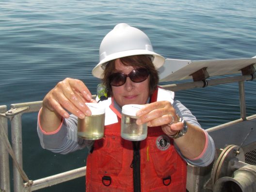 Vera Trainer sampling an algal bloom