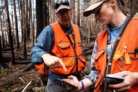 Jenna and Brian consult spatial data to establish a new sample plot in a forest burned at high severity two years prior in the 2017 Norse Peak Fire.