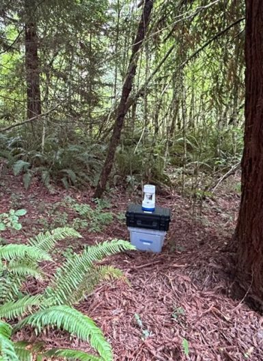Coriolis Compact Microbial Air Sampler collecting a forest aerobiome sample.