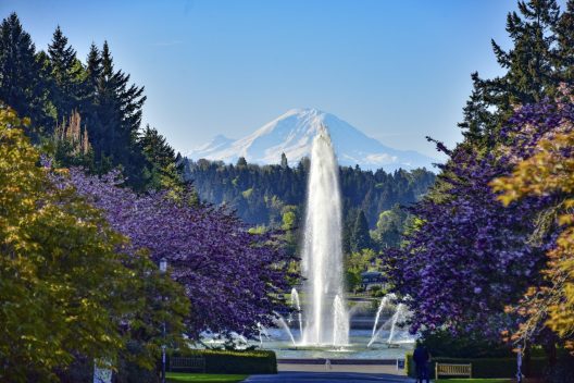 View of Mount Rainer and Drumheller Fountain at the UW